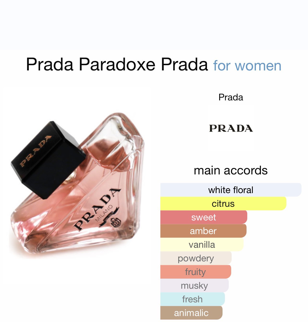 Prada - Paradoxe